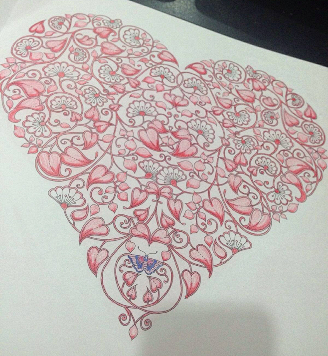 秘密花园成品图