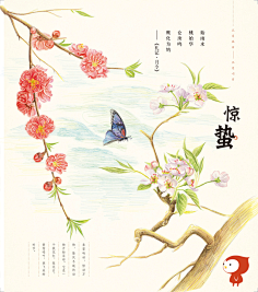 一花一世界