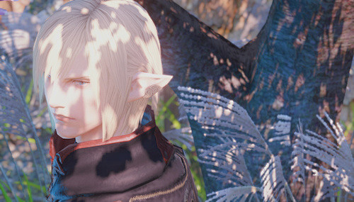 ff 14