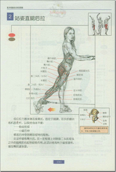 blog.sina.com.cn [资料]肌肉健美训练图解 1 photo.blog.sina.com.