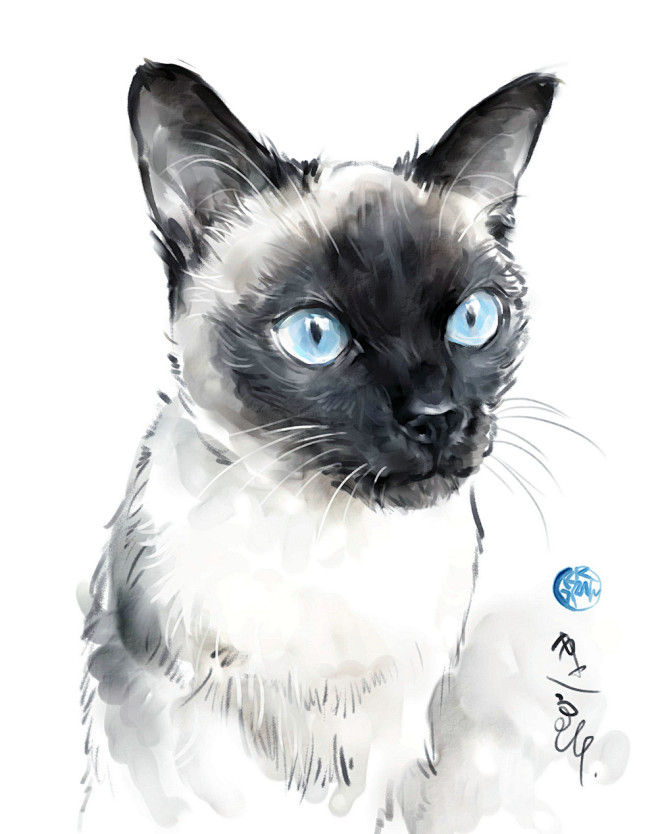 画猫,宠物画像,猫咪画像,猫咪手绘