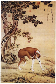 鸡犬不宁