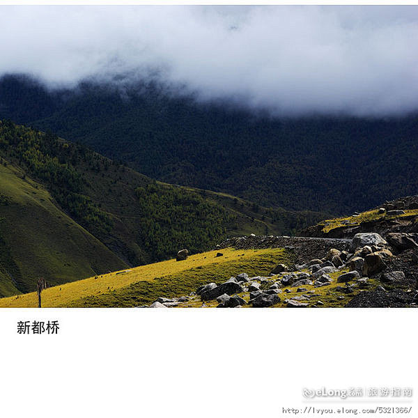 【铅色新都桥】,养龙旅游攻略广西玉林旅游攻略必玩的景点图片
