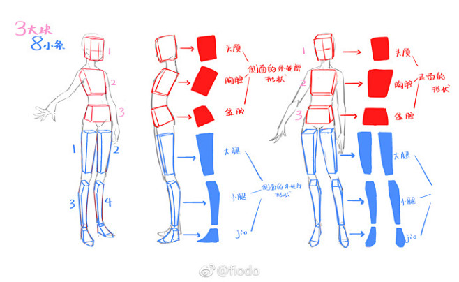j 教程 人体 人体比例,三视图
