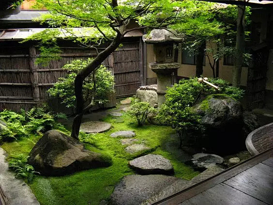 中庭/内庭/天井空间景观