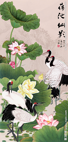 国画-花瓣网|陪你做生活的设计师 国画荷花的搜索结果_360图片搜索