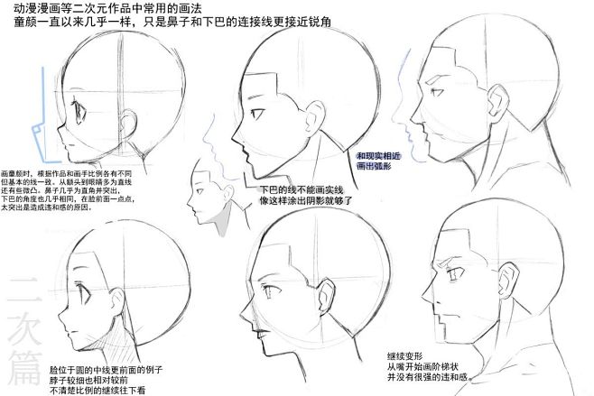 各角度脸型画法(动物)