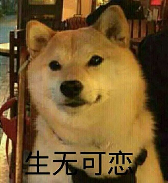 qq表情#逗比#生无可恋dogenemnmmnmnm该采集也在以下画板加载更多