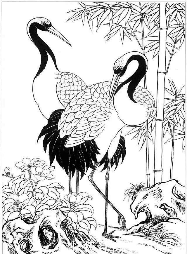 工笔仙鹤高清白描线稿图片