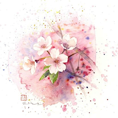 樱染紫韵