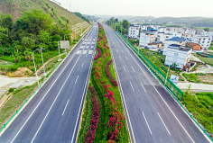 市政道路景观-花瓣网|陪你做生活的设计师 道路绿化_百度图片搜索