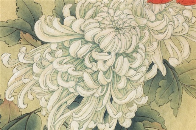 工笔画:菊花