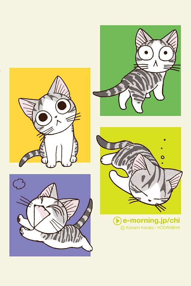 08:14:53起司猫,甜甜私房猫,手机壁纸,脸部特写插画为了使你听见我同