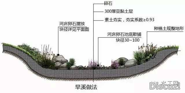 c绿化雨水花园