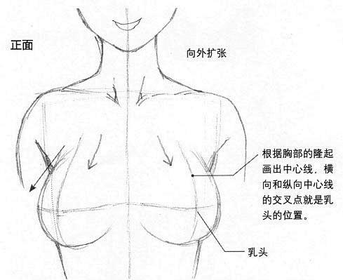 日漫胸部素材