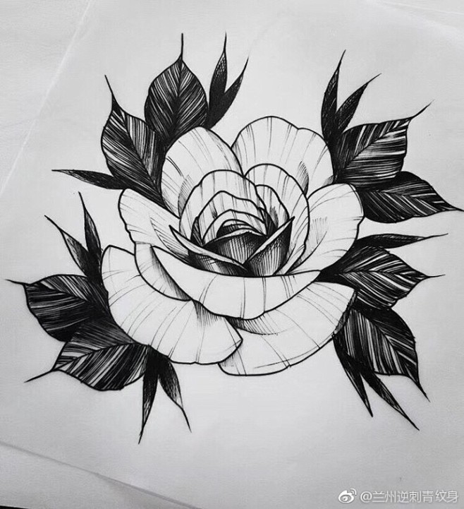 com 欧美小清新菊花纹身图案手稿 tattoo77.