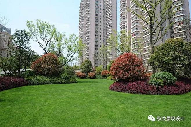 12:02:51高bigger的植物配置实景图z,植物组团山无愁同采自www