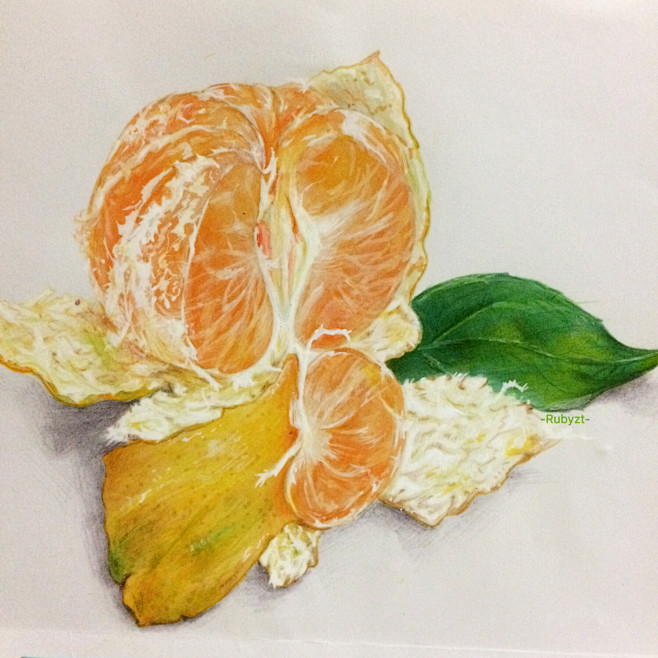 手绘马克笔彩铅插画随笔水果橘子