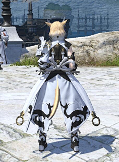 妇女大哥°采集到ff14