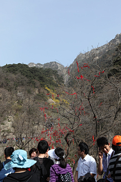 五一登泰山----黄山归来