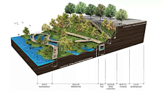 园林景观雨洪管理剖面分析