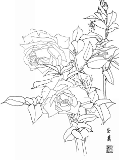 花瓣陪你做生活的设计师