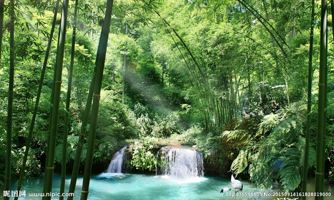 com 竹林山水风景