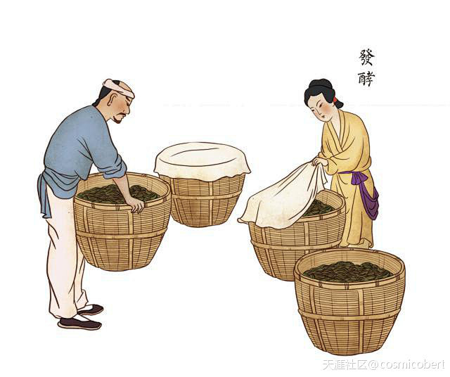 cn 手绘漫画:祁门红茶制作工艺(转载)_诚信阳光_天涯部落_天涯社区 1
