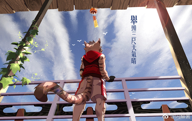 家有大猫