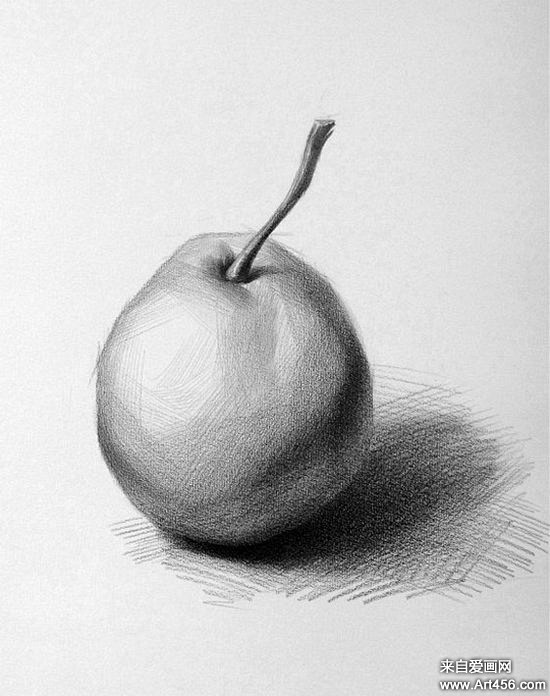baiducontent.com 素描苹果图片,单个水果素描静物05 cache.