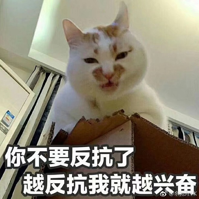 08:47:11你不要反抗了 越反抗我就越兴奋表情包小可爱们rk_柳丽花该