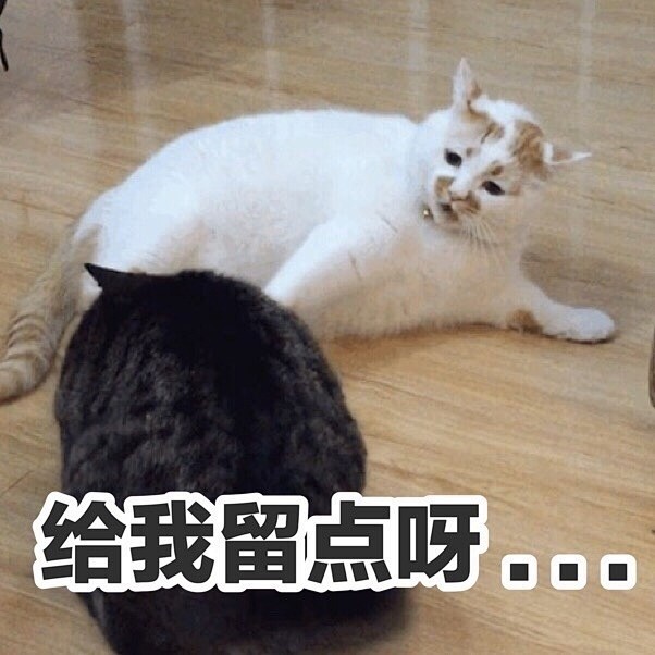 com @楼板娘 @2楼哎呦喂多多 楼楼表情包第二弹——吃货  1 weibo.