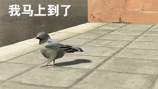 做了个鸽子图67676767