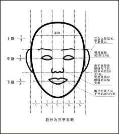com 关于画画上,人侧面的那个三庭五眼比例是怎么的_百度知道