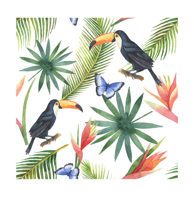 水彩花圈热带雨林动物植物鸟类烈火鸟冰淇淋png免抠图pattern1