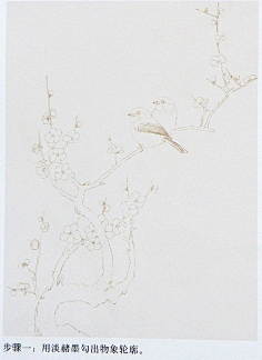 梅花小弄采集到白描花卉-梅花218k水彩绘画填色本工笔白描临摹底稿