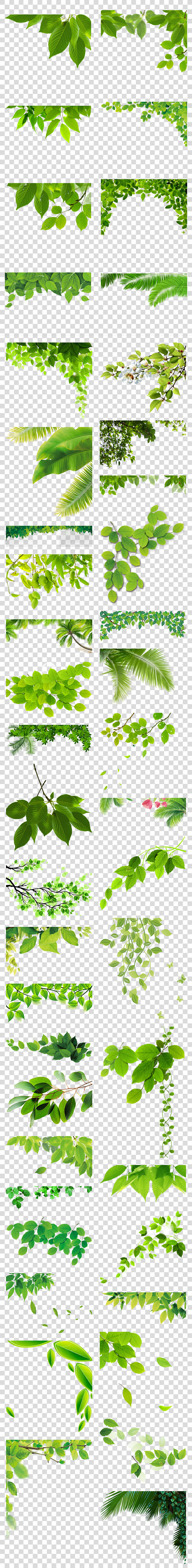 春天绿色树叶树藤青藤藤蔓花藤海报素材背景环保叶子边角的装饰清新免