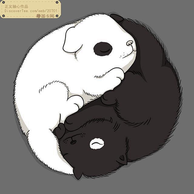 太极狗