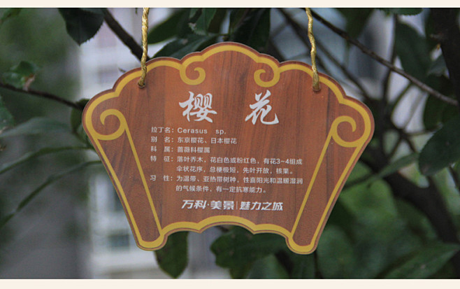 花木标牌