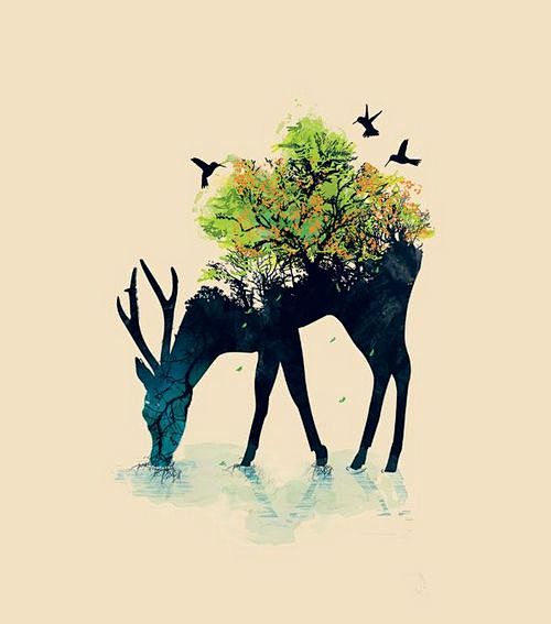 林深时见鹿梦醒时见你图片