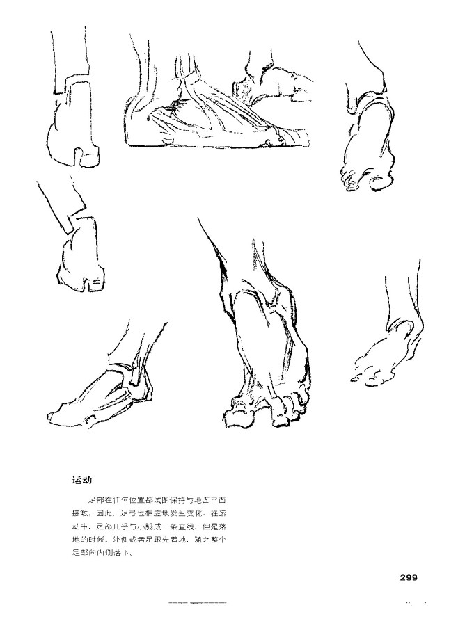 伯里曼