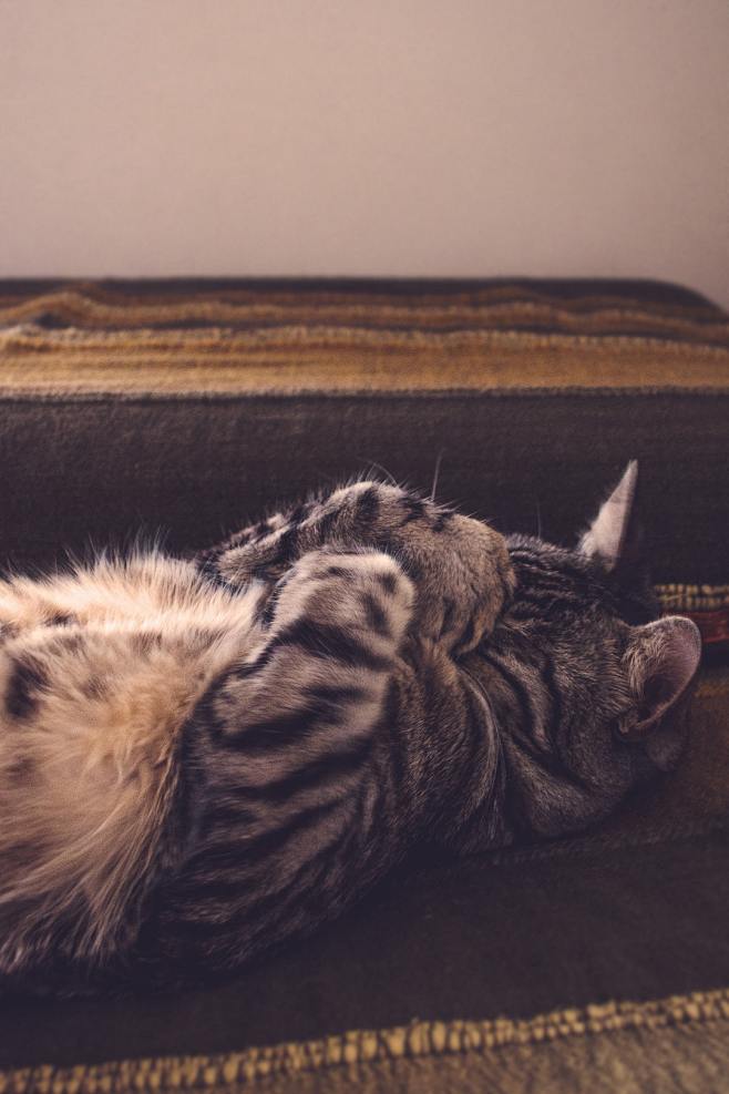 免费LOGO在线制作软件_logo在线设计生成器