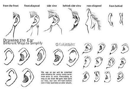 sai资源库绘画人物五官参考之耳朵绘画参照各式各样的绘画方法值得