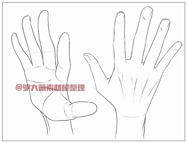 500多个手部特写多角度姿态漫画手的画法板绘cg素材速写虎格网