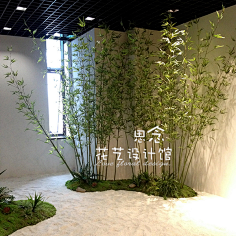 区域-造景绿植墙