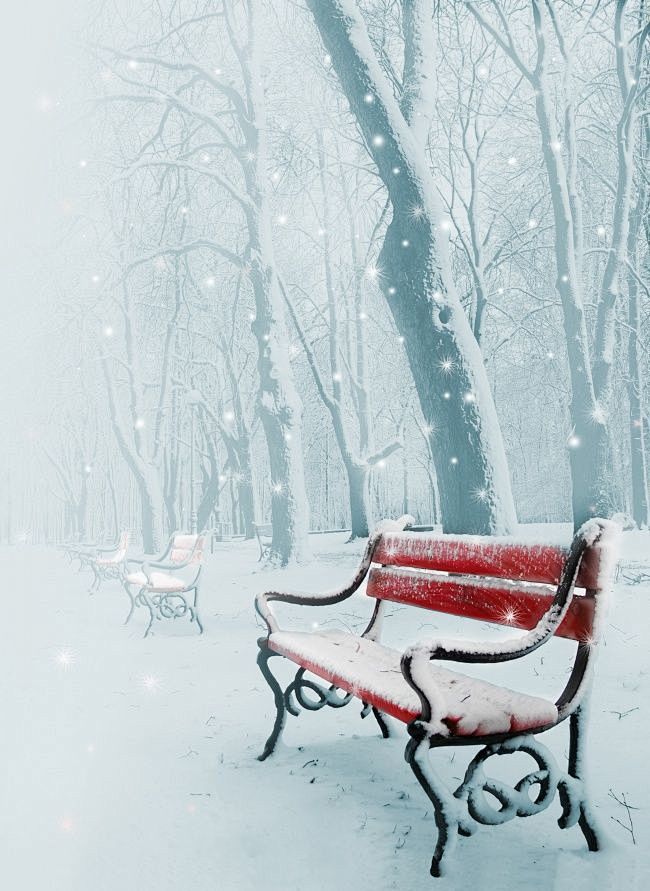 cn 唯美浪漫雪景图片 闲时寥寥采集到天空飘来雪的童话  采集 huaban.