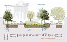 园林景观雨洪管理剖面分析