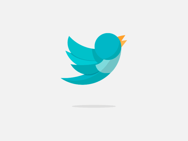 test bird