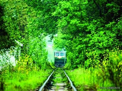 南京云台山小火车经过一段爱情隧道 - 李子傲