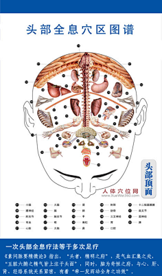 com 头部全息穴区图谱:头部顶部 2 xuewei360.